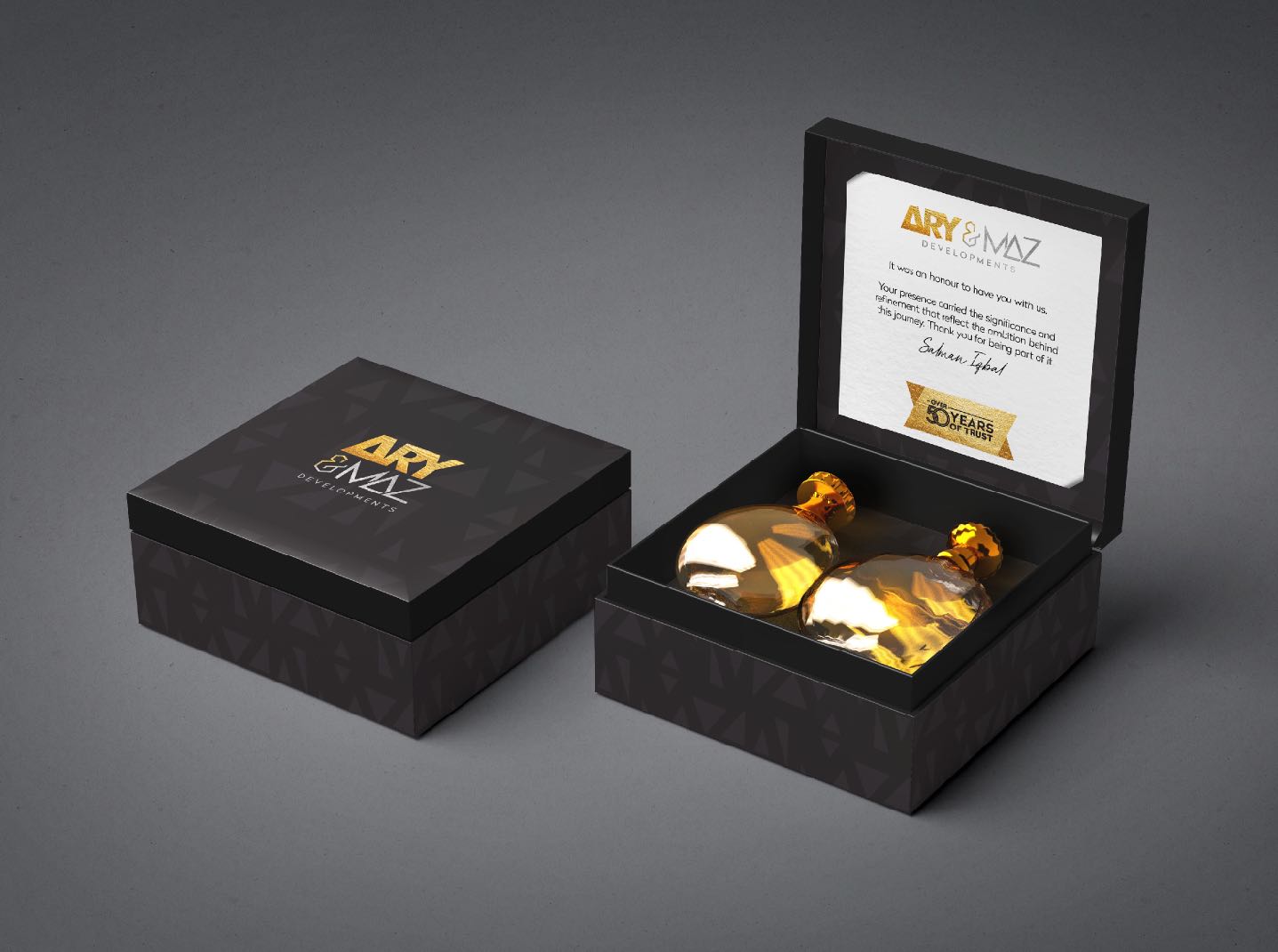 ARY & MAZ image 5